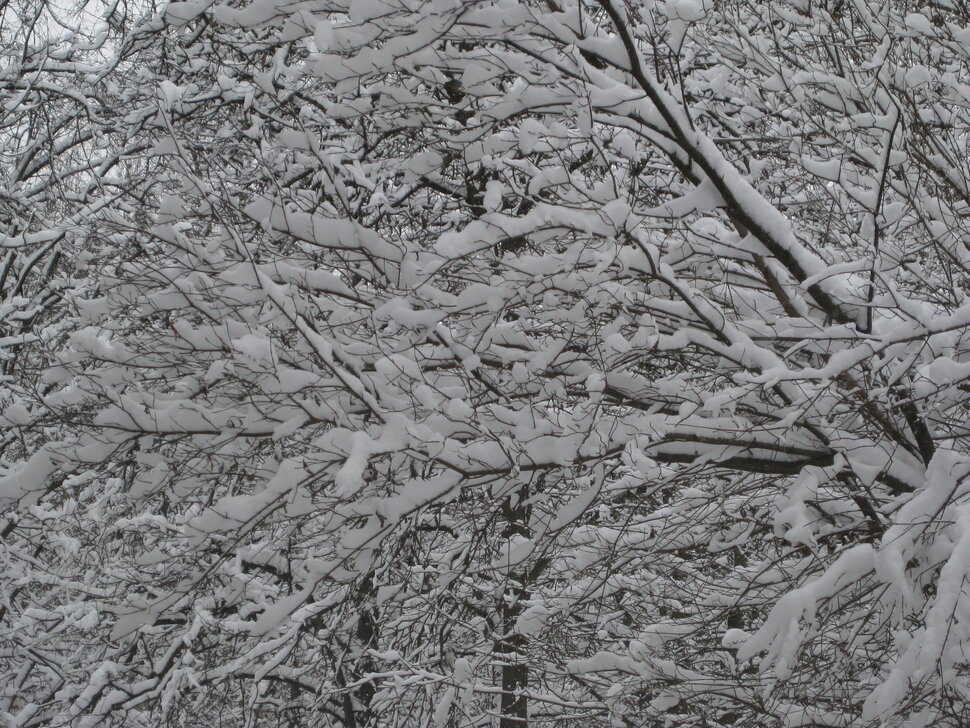 ���� � ������. ��� 2025 ����� ������� ������� �� PhotoGeek.ru #������ ��� ������� #������ #����� #����� #������� #���� #������� #������� #���� #���� ��  �����  ��� ... #���� �� ��������