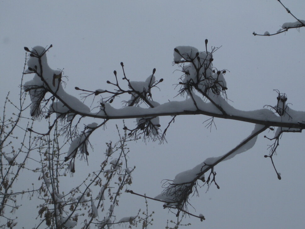 ���� �� ������ � ������. ��� 2025 ����� ������� ������� �� PhotoGeek.ru #����� #������ ��� ������� #������ #����� #����� #����� #������ #����� �������������� #��������� #���� #������� #������� #���� #���� ��  �����  ��� ...