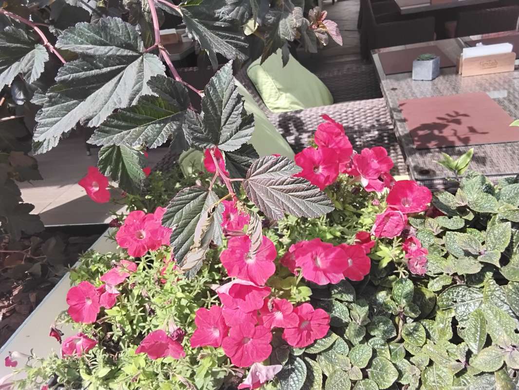 ����� ���� ����� ������� ������� �� PhotoGeek.ru #����� #���� #������ #������ #������� #������� #�������� #�������� #������ #�����