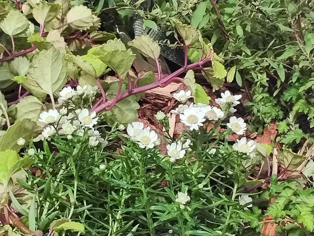 ����� � ������ ����� ������� ������� �� PhotoGeek.ru #����� #���� #������ #������ #�������� #�������� #������ #�����