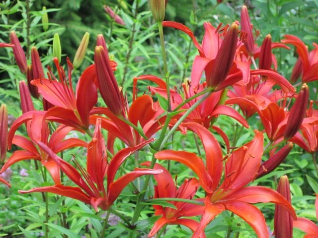 ����� �� ������ ����� ������� ������� �� PhotoGeek.ru #����� #����� �������������� #��������� #�������� #������ #����� #����� ���������