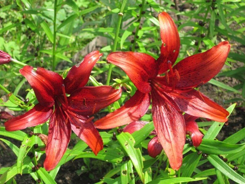 ��� �������� �������� ����� ������� ������� �� PhotoGeek.ru #����� #������ ��� ������� #����� �������������� #������� #�������� #������ #����� #����� ���������