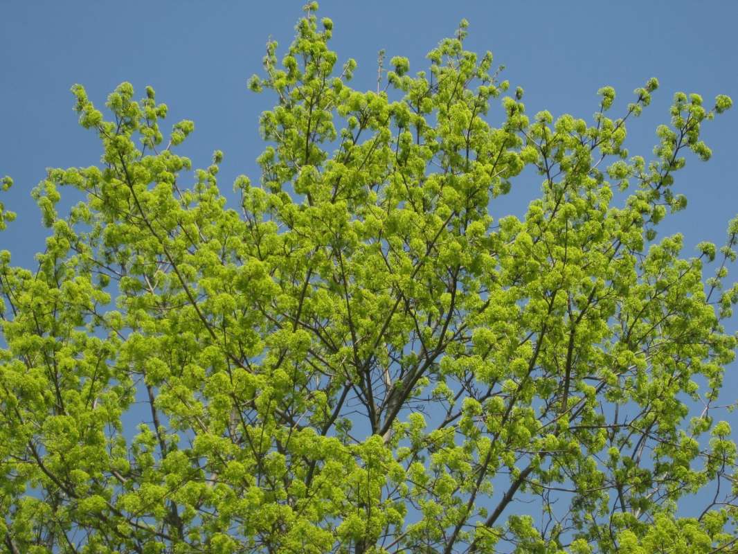 ��� � ������ ����� ������� ������� �� PhotoGeek.ru #������ ��� ������� #������ #����� #������ #������� #����� �������������� #������ #����� �������� #������ #������ #������� #�������� #�����