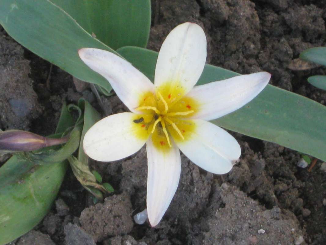 �������� ������ ����� ������� ������� �� PhotoGeek.ru #����� #������� #�������� #������ #����� #����� ��������