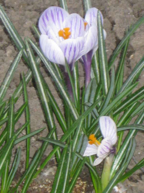 ������ �������� ����� ������� ������� �� PhotoGeek.ru #������ ��� ������� #������ #����� #������ #������� #�������    ���������� #������� #�������� #�������� #����� #������ #����� #�����. ����� #������