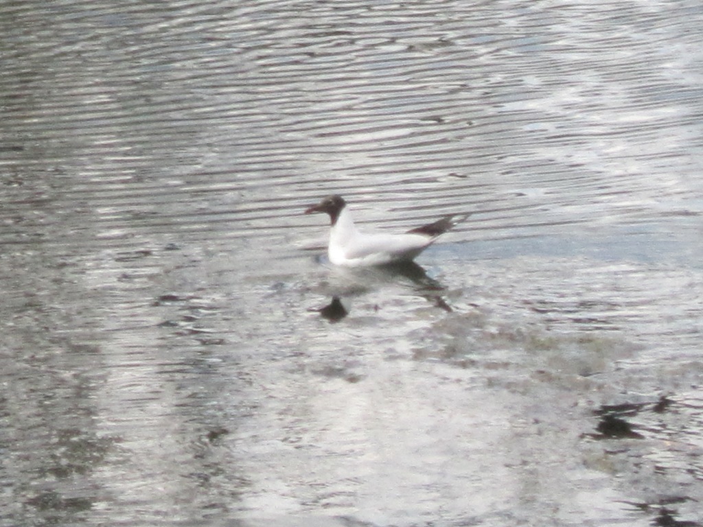 ����� ����� �� ����� ����� ����� ������� ������� �� PhotoGeek.ru #�������� ��� #���� #������������� ����� #����� #���������� #������� ����� #����� #����� #����� #�����