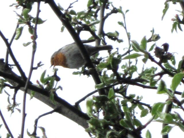 ��������� ����� ������� ������� �� PhotoGeek.ru #����� #������� #��������� #������ ����� #����� #�����