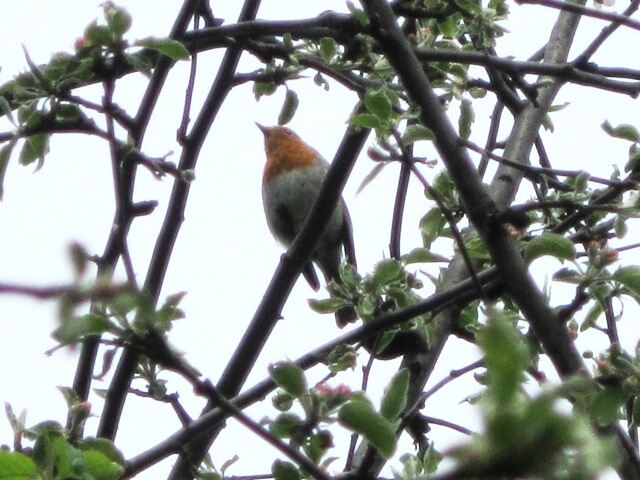 ��������� ����� ������� ������� �� PhotoGeek.ru #����� #������� #��������� #������ ����� #����� #�����