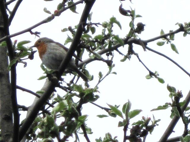 ��������� ����� ������� ������� �� PhotoGeek.ru #����� #������� #��������� #������ ����� #����� #�����