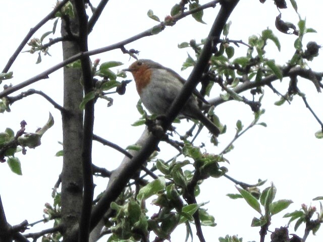 ��������� ����� ������� ������� �� PhotoGeek.ru #����� #������� #��������� #������ ����� #����� #�����