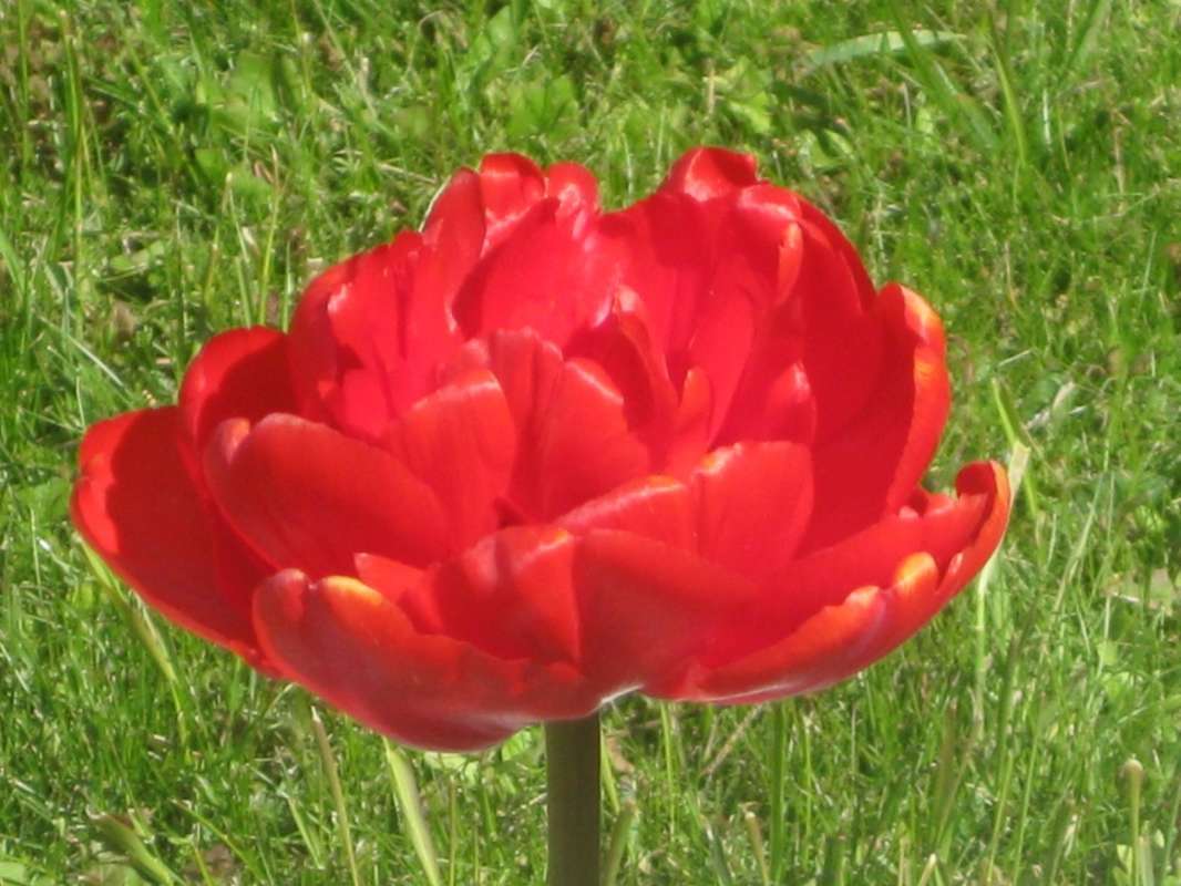 �������� �������� ����� ������� ������� �� PhotoGeek.ru #����� #������ ��� ������� #����� �������������� #������� ������� #�������� ������� #����������� ������� #������� #������ #����� #����� ��������