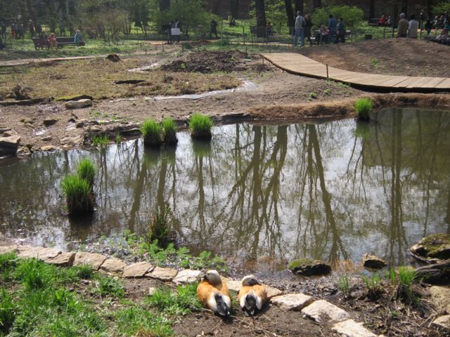 ���� � ������������ ���� ����� ������� ������� �� PhotoGeek.ru #������ ��� ������� #������������ ��� #����� #���� #������� #������.������������ ���. #��������� #��������� � ���� #������ #��������� ���������� #���� #�������� #��� #����