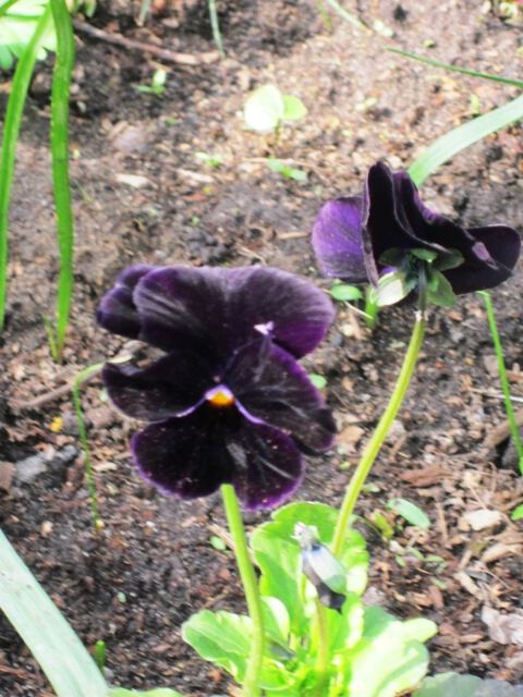 ��������� ���� ����� ������� ������� �� PhotoGeek.ru #����� #������� ������ #������������ ��� #����� #����� #����� �������������� #�������� #�������� #������ #������ #������ #�����