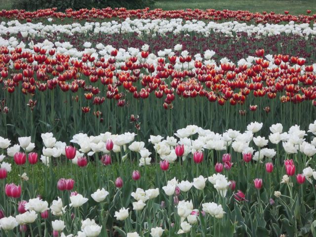 ������������� ����� ������� ������� �� PhotoGeek.ru #������ ��� ������� #����� �������� #����� #������ #������� �������� #������� #������� #�������� #������� #������ #����� #����� ��������