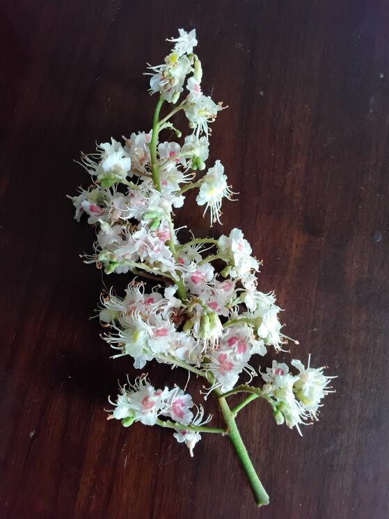 ������ ������� ����� ������� ������� �� PhotoGeek.ru #����� #����� #������ #����� #����� ������� #������ #�������� #������ #�����