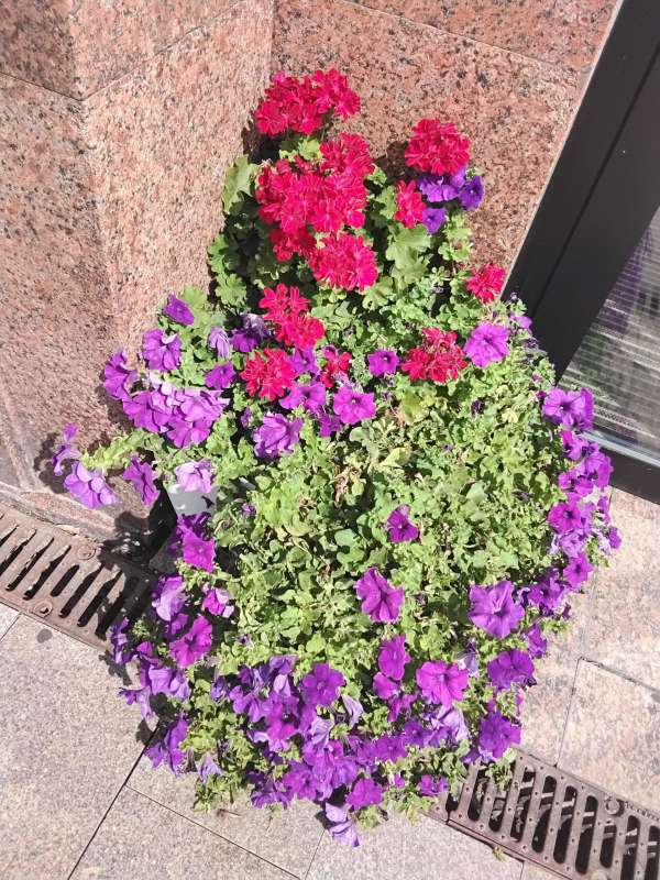 ������ ����� ����� ������� ������� �� PhotoGeek.ru #Fine Art #������� ����� #���� #������� #������� ���������� #������� #������ #�����