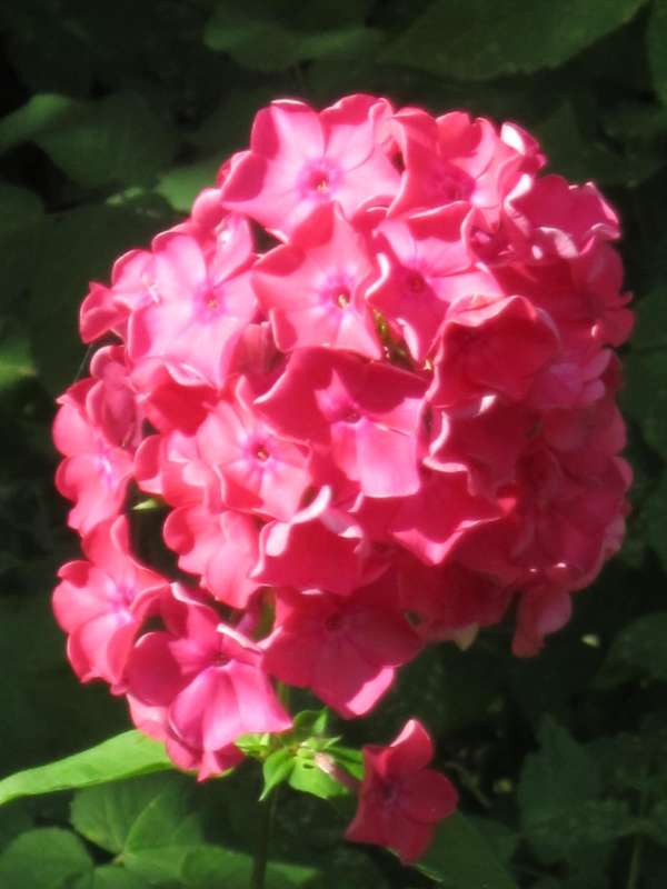 ����� ����� ������� ������� �� PhotoGeek.ru #����� #���� #������� ���� #����� #������ #������ #�����