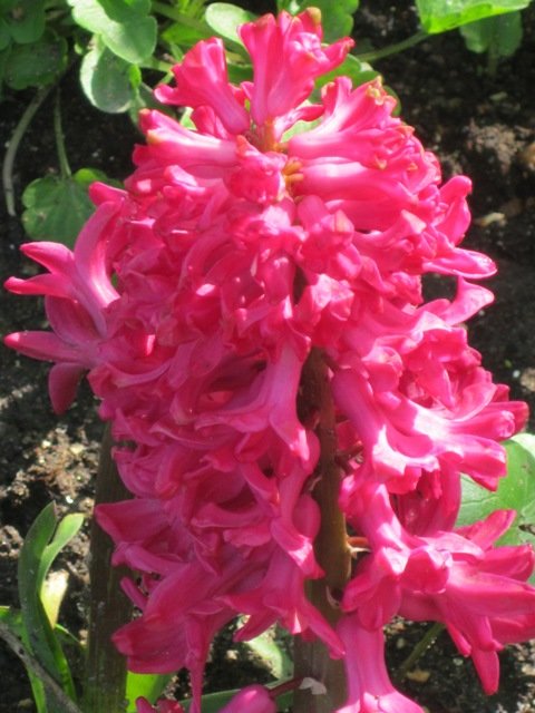 ������� ����� ������� ������� �� PhotoGeek.ru #����� #������ ��� ������� #������������ ��� #����� #������� #����� �������������� #������.������������ ���. #������� #������� #������� ���� #������ #�����