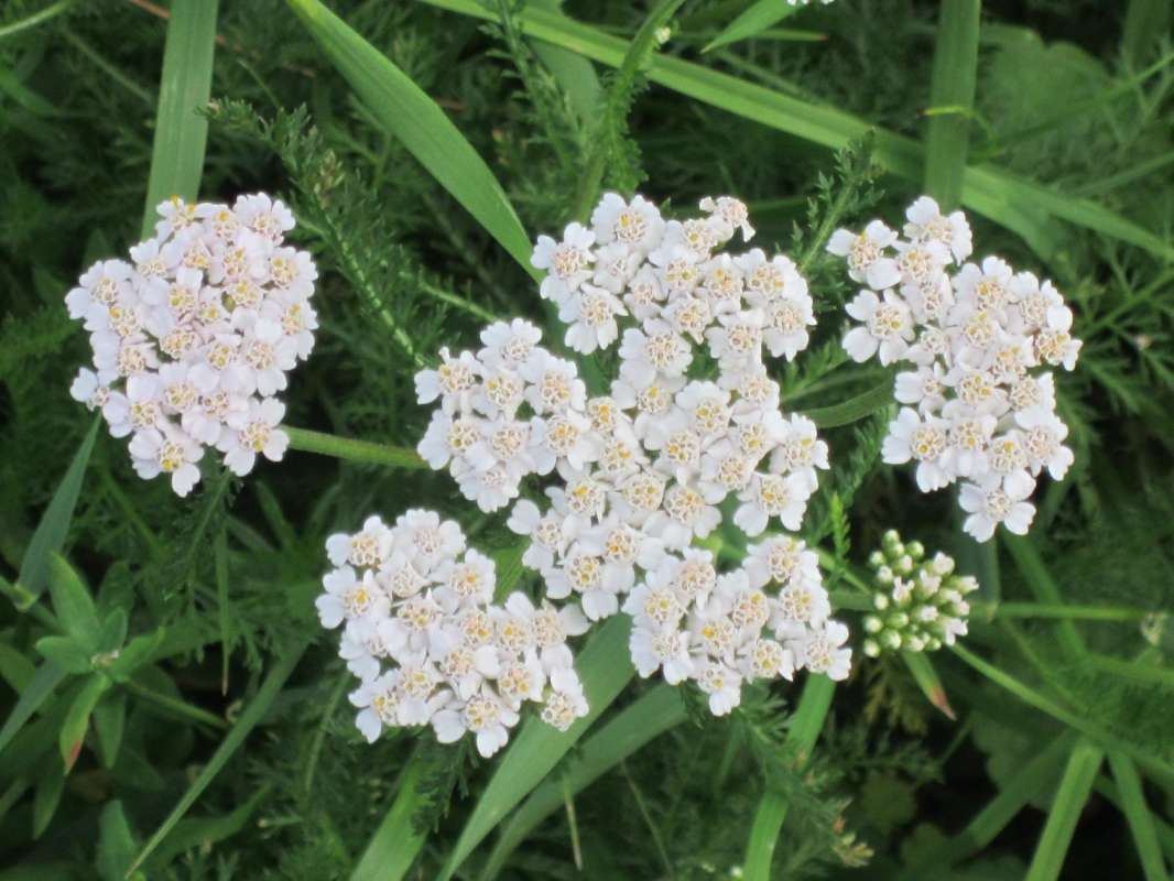 ������������� ����� ������� ������� �� PhotoGeek.ru #����� #������ ��� ������� #����� #����� ����� #����� ������ #����� #������������� �������� #������� #�������� #�������� #������������� #����� #������ #�����