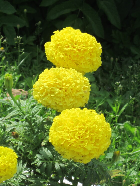 �������� ����� ������� ������� �� PhotoGeek.ru #����� #�������� #�������� #Ƹ���� ����� #����� �������������� #�������� #������ #�����