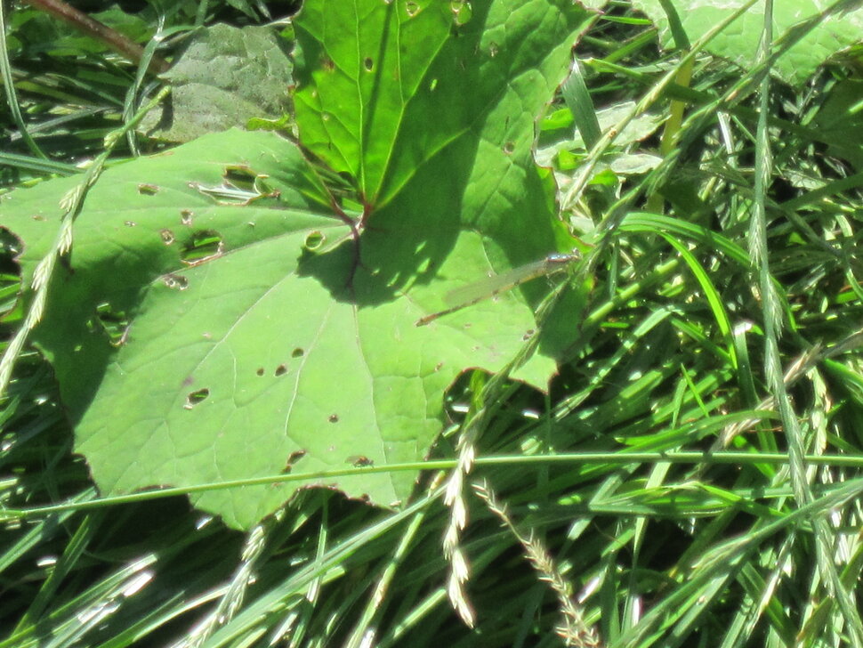 ������ ������ ����� ������� ������� �� PhotoGeek.ru #����� #����� �������������� #������ ����� #������� #������ ����; �����; ������ #���� #���� #������ #�������� #�������� #����� ������ #�������� #�������� #����� #����� ����� ������� #����� #�����