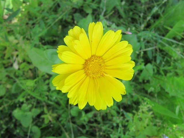 �������� � ����� ����� ������� ������� �� PhotoGeek.ru #����� #������ #������ ���� #������ ������ #����� �������������� #��������� #������������� �������� #������� #�������� #�������� #����� #������ #�����