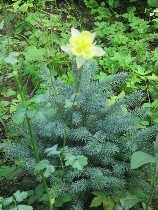 ��������� ��� ����� ������� ������� �� PhotoGeek.ru #������� ��� #���� #������ #��� #���� #������ #������ #���� #�������� #�������� #����� #�������    ��������� #������� ������� #���� #������