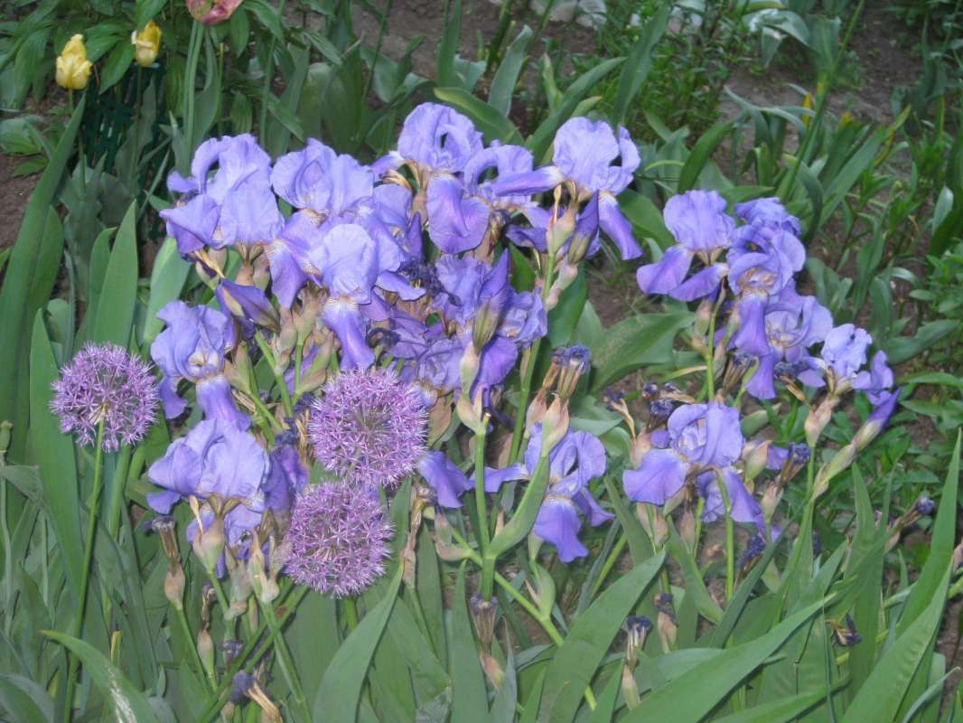 �����-�������� ����� ������� ������� �� PhotoGeek.ru #������ ��� ������� #���� #����� #������� #������ #������� #������� #������ #����� #����� �����