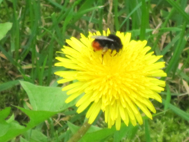 ������ ������ � ������ ����� ������� ������� �� PhotoGeek.ru #Fine Art #����� #Ƹ���� ����� #����� �������������� #��������� #���������� #������� #���� �������������� �������� #������� ����� #������� #�������  ��������� #����� #����� #������ #������ #������ ���������� #����� #����� #�22 ���� 2017 ����. ������