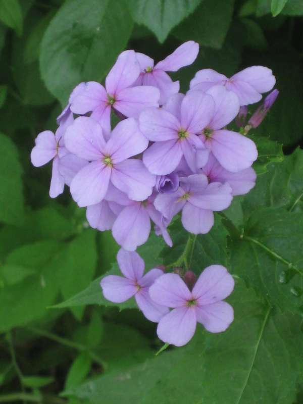 ������������� ����� ������� ������� �� PhotoGeek.ru #����� #������ ��� ������� #����� �������������� #������������� #������� #�������� #�������� #��������� #����� #������ #�����