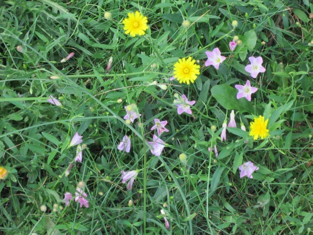 ������� ����� ����� ������� ������� �� PhotoGeek.ru #������ #������ ���� #������ ������ #Ƹ���� ����� #������ ����; �����; ������ #���� #��������� #���������� #������� ����� #�������  ��������� #�������� #�������� #������� #������� ����� #������� ���� #����� #����� ����� ������� #����� #����� #������ #������ ���������� #�����