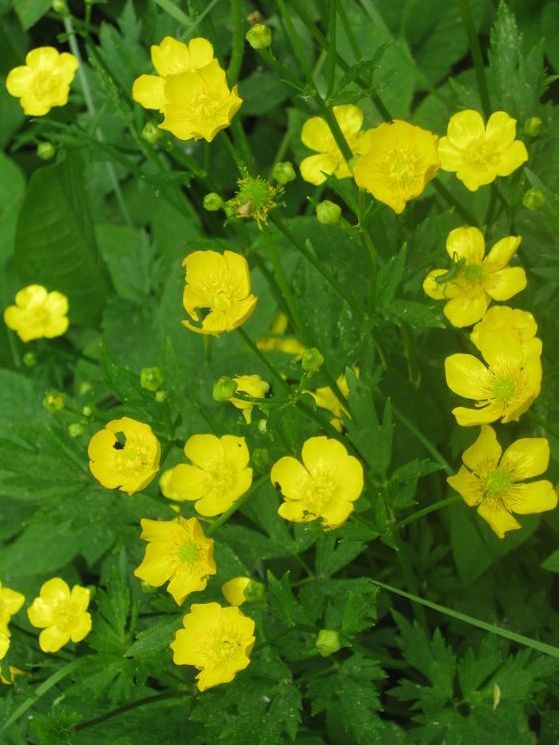 ������-�������� ����� ������� ������� �� PhotoGeek.ru #Fine Art #������ ��� ������� #������ #Ƹ���� ����� #����� #������ #������� #������� ������������ ��� #�������� #�������� #�������������� #������ #�������� #�������� #�����