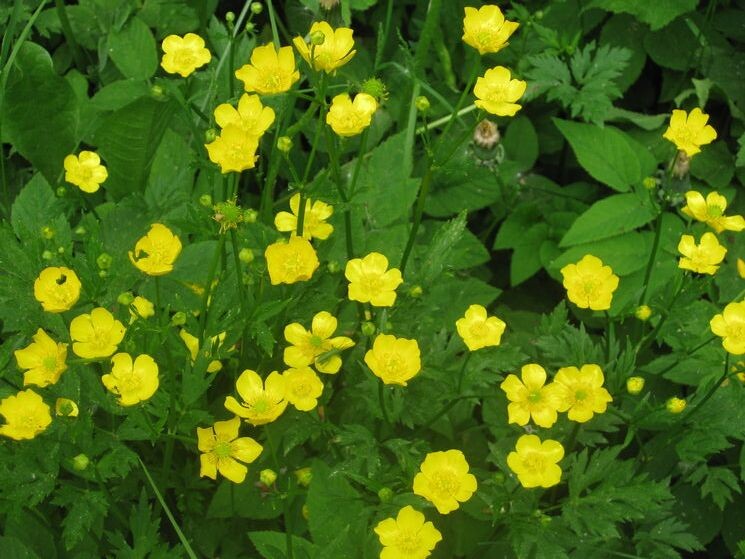 ������-�������� ����� ������� ������� �� PhotoGeek.ru #Fine Art #������ ��� ������� #������ #Ƹ���� ����� #����� �������������� #����� #������ #������� ����� #������� #������� ������������ ��� #�������� #�������� #�������������� #������������ ��� #������ #�������� #�������� #�����