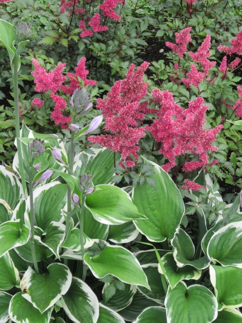 ����� ���� ����� ������� ������� �� PhotoGeek.ru #Fine Art #������ ��� ������� #�������� #����� �������������� #������ #������� #�������� #�������� #�������������� #������������ ��� #�������� #������� #������ #�����