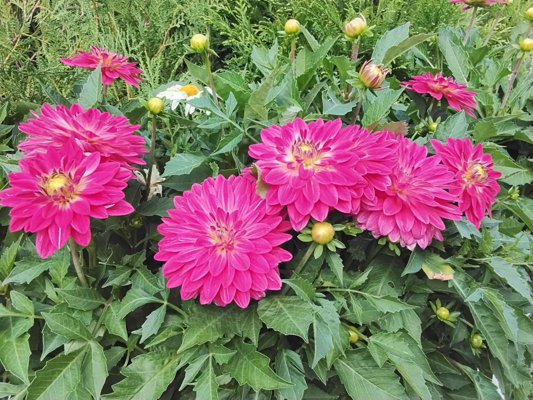 ������ ����� ����� ������� ������� �� PhotoGeek.ru #����� #������� #�������� #���� #��������� #������ #����� #����� ��������