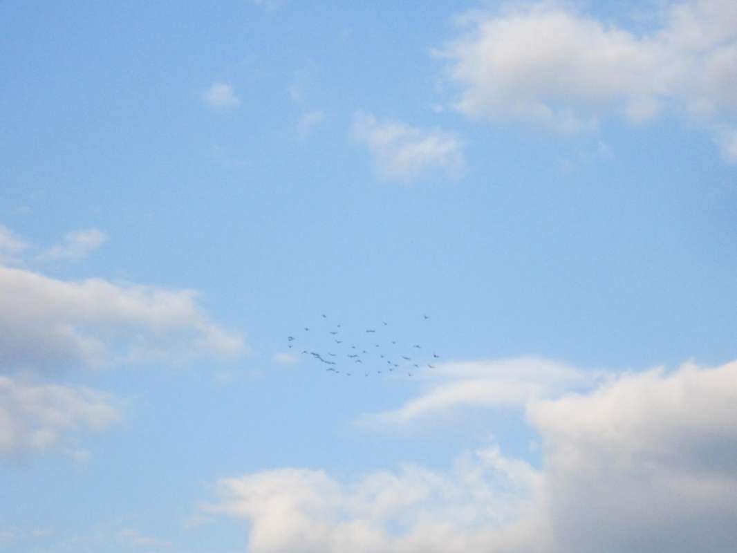 ����� ���, �����, ������ � ������! ����� ������� ������� �� PhotoGeek.ru #������ ��� ������� #������ #������ #���� #���� � ������ #������ #������ � ���� #������� #����� #����� ������ #���� #���� ����