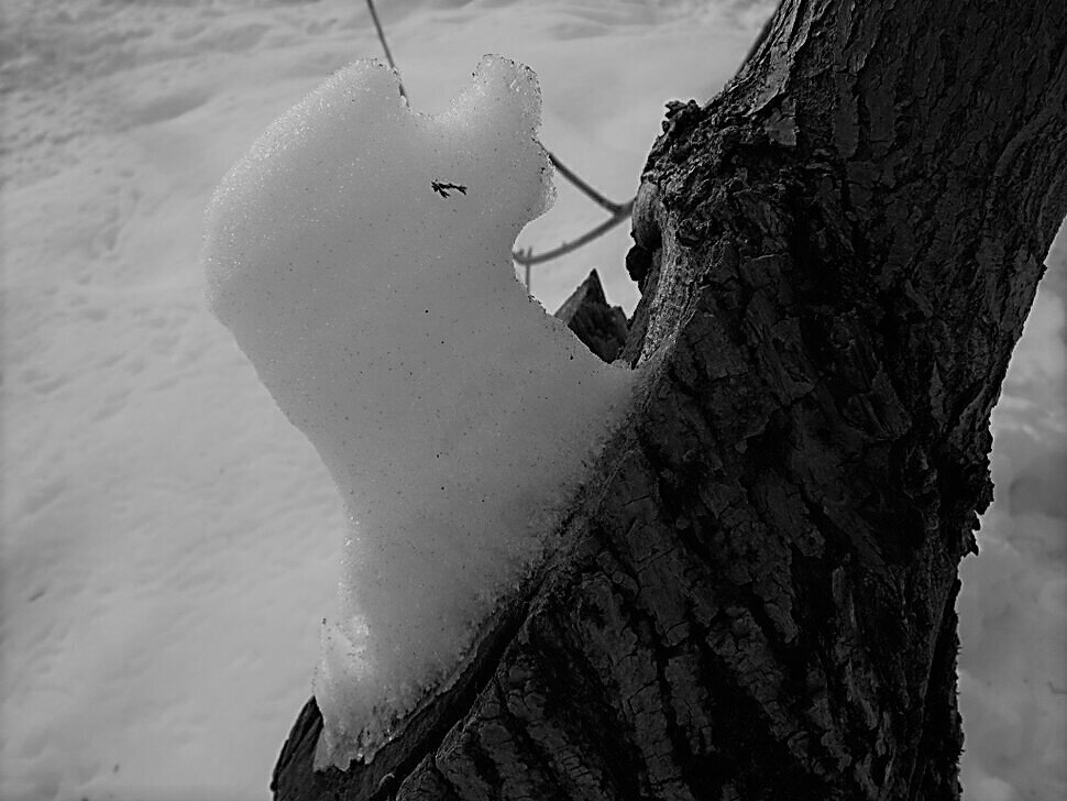 ������� ���� ����� ������� ������� �� PhotoGeek.ru #�� #Fine Art #����� #������ ������ #������ #���� #������ ���������� #�������� #���� #������� ������ #������ #����� ����� ���������� #�����-�����