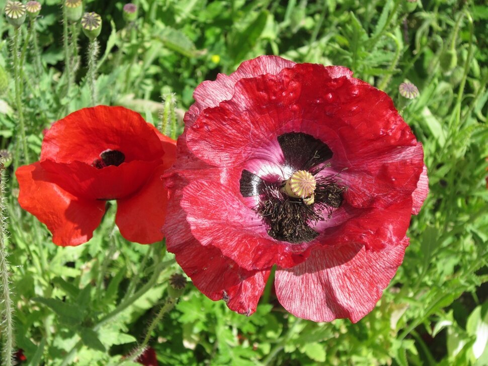 ���� ���� ����� ������� ������� �� PhotoGeek.ru #����� #���� ���� #����� �������������� #������� #������� ���� #������� ����� #��� #���� #����� #������ #�����