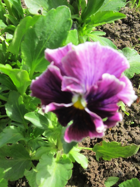 ��������� ���� ����� ������� ������� �� PhotoGeek.ru #����� #������� ������ #����� #����� #����� �������������� #������� #�������� #���������� #������ #������ #���������� #����� #������ #�����