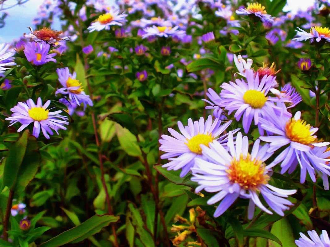 ������� ����� ����� ������� ������ �� PhotoGeek.ru #������ ��� ������� #����� ��������������