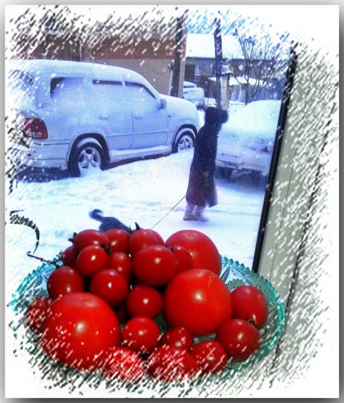 ������������ � ����. ����� ������� ������ �� PhotoGeek.ru #������ ��� ������� #����� ��������