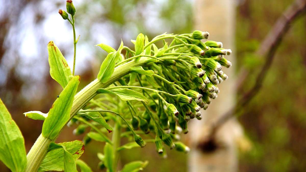 ������������ ����� ������� ������ �� PhotoGeek.ru #������ ��� ������� #����� ��������������