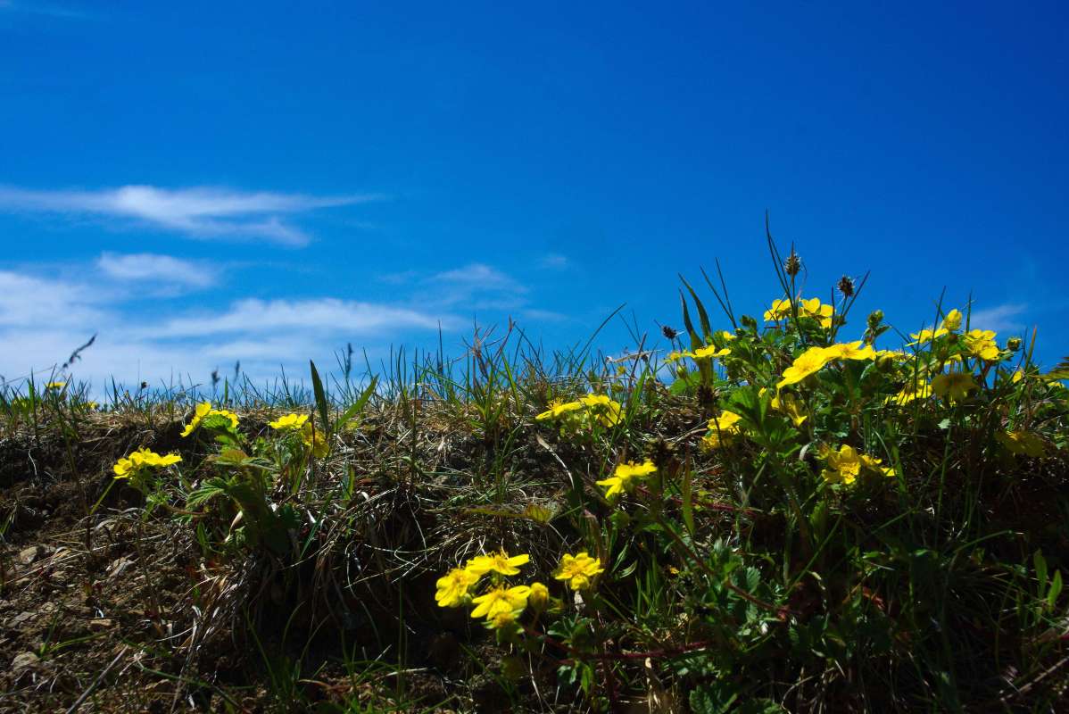 ... ����� ������� ������ �� PhotoGeek.ru #������ ��� ������� #����� ��������������