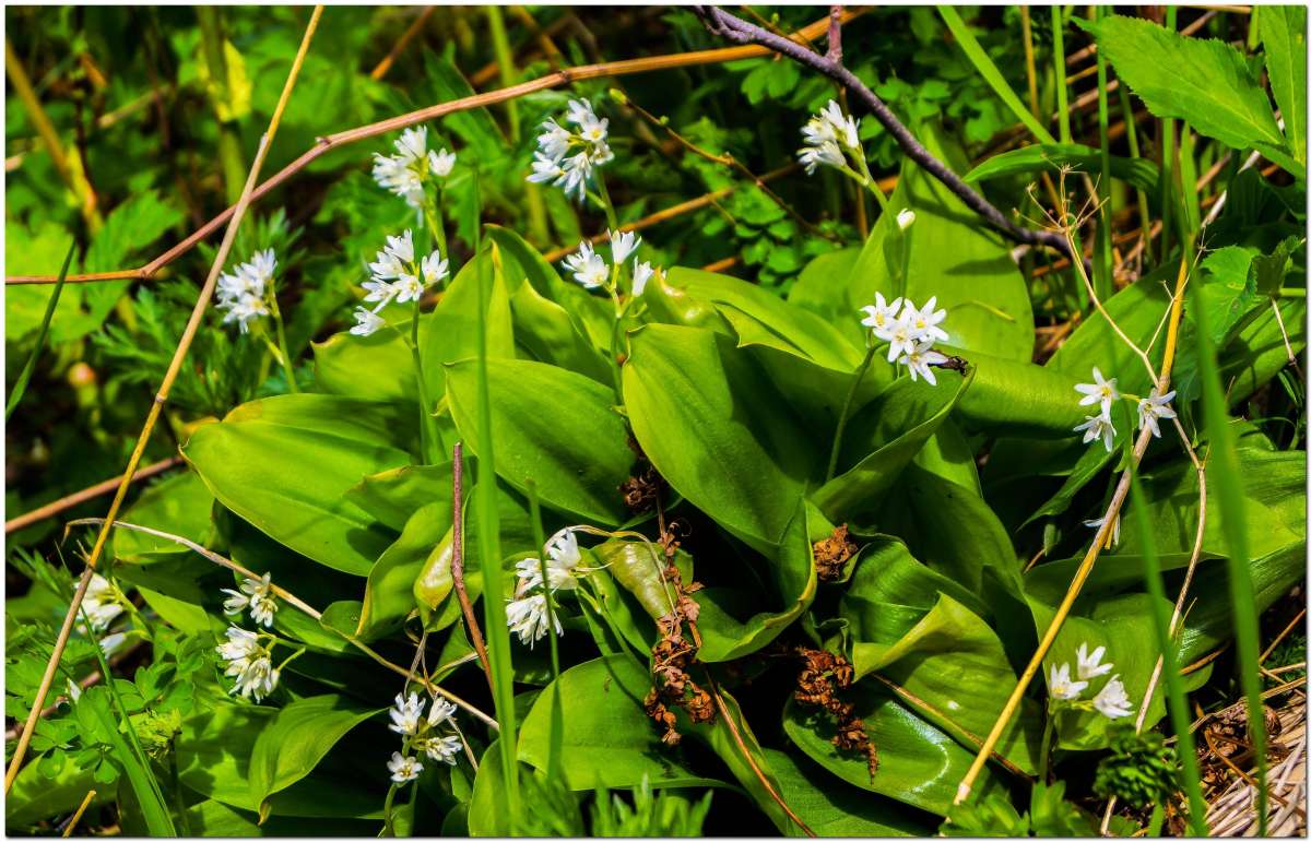 ����� �� ����. ����� ������� ������ �� PhotoGeek.ru #������ ��� ������� #����� ��������������