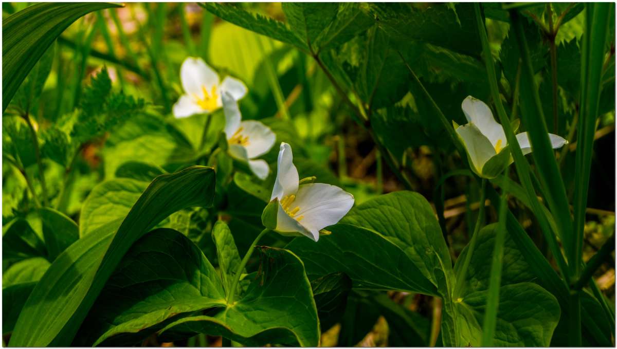 ... ����� ������� ������ �� PhotoGeek.ru #������ ��� ������� #����� ��������������