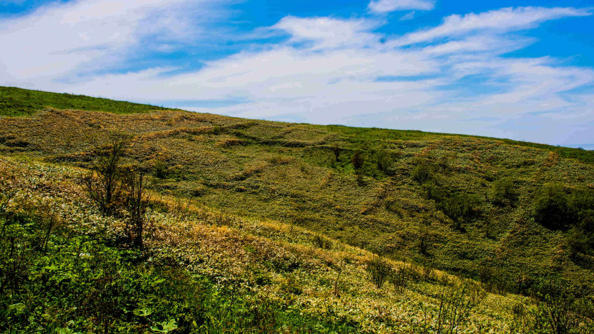 ���� ����������� ��������. ����� ������� ������ �� PhotoGeek.ru #������ ��� �������