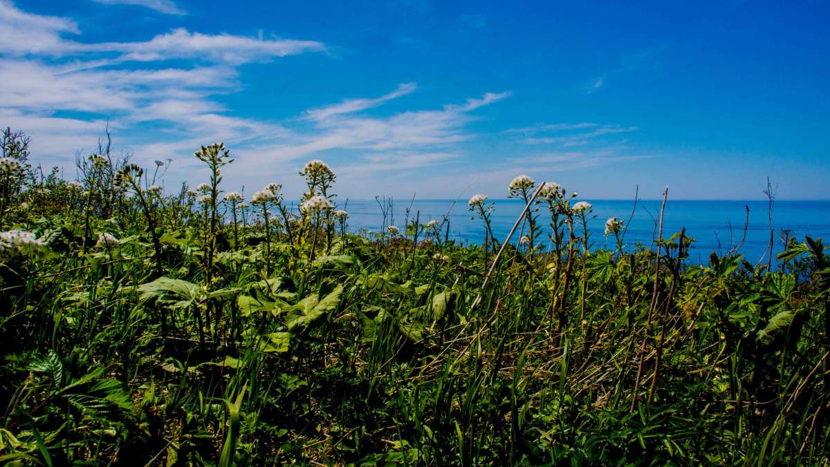 ... ����� ������� ������ �� PhotoGeek.ru #������ ��� �������