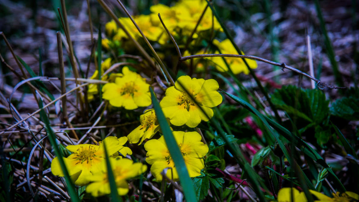 ��������. ����� ������� ������ �� PhotoGeek.ru #������ ��� �������