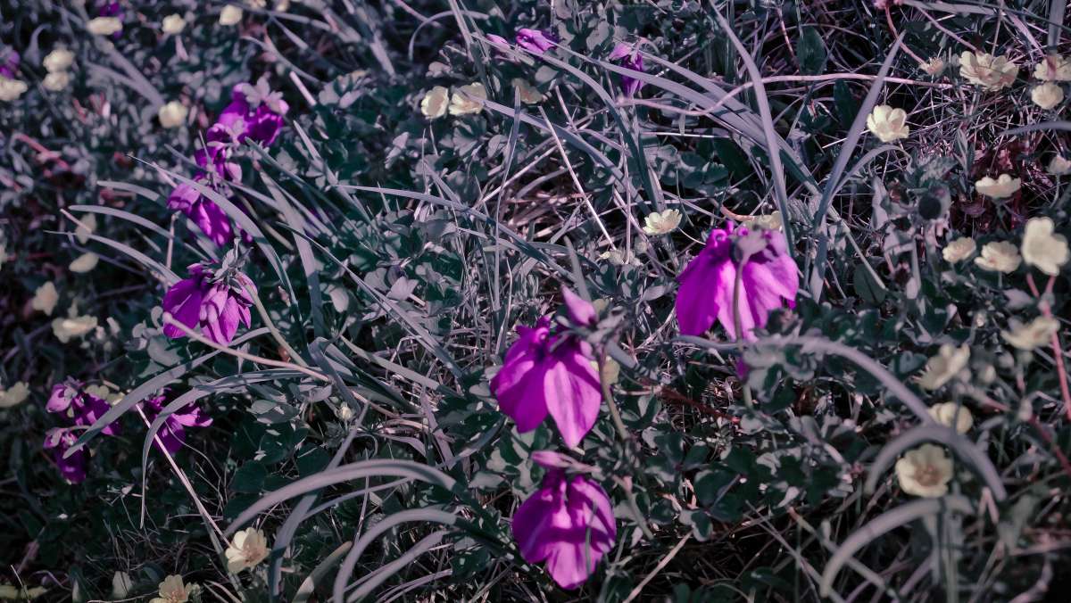 ... ����� ������� ������ �� PhotoGeek.ru #������ ��� �������