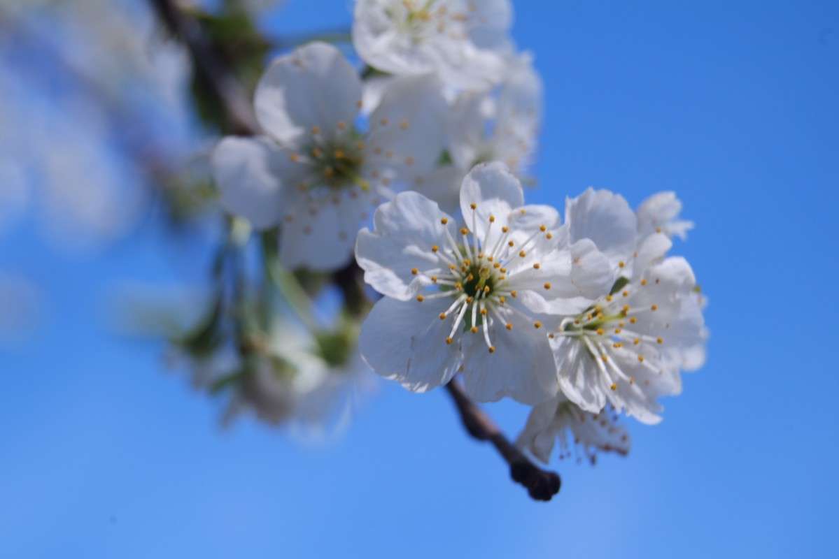 ����� ����� nastassia  �� PhotoGeek.ru #����� ��������������